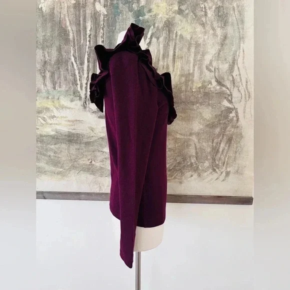 Anthropologie DOLAN Ruffled V-Neck Top in Wine Size Medium NWOT $78 - Picture 3 of 11